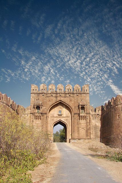 4a11141cb6facc7f2a8504ce61082137 (1)