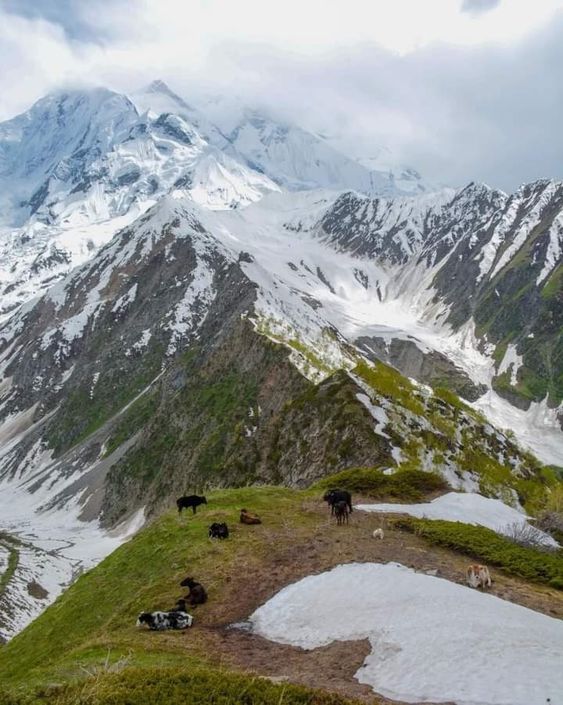 f54679c7b87577f70e20ddd4708c8590