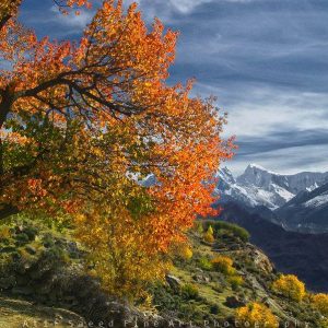 Autumn-Tours-to-Hunza-Valley-Gilgit-Baltistan-Northeran-Areas-of-Pakistan