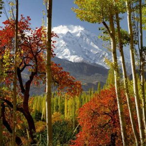 Autumn-Tours-to-magnificent-Karakorum-Himalaya-Hindukush-Gilgit-Baltistan