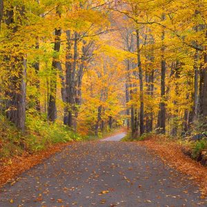 Vermont_New_England_Photo_Tour_Workshop-8581