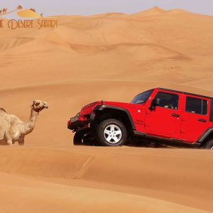 dune-bashing-in-Wrangler-Jeep
