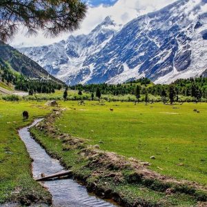 fe3d1bb9171d70ca571d90581f1fab12